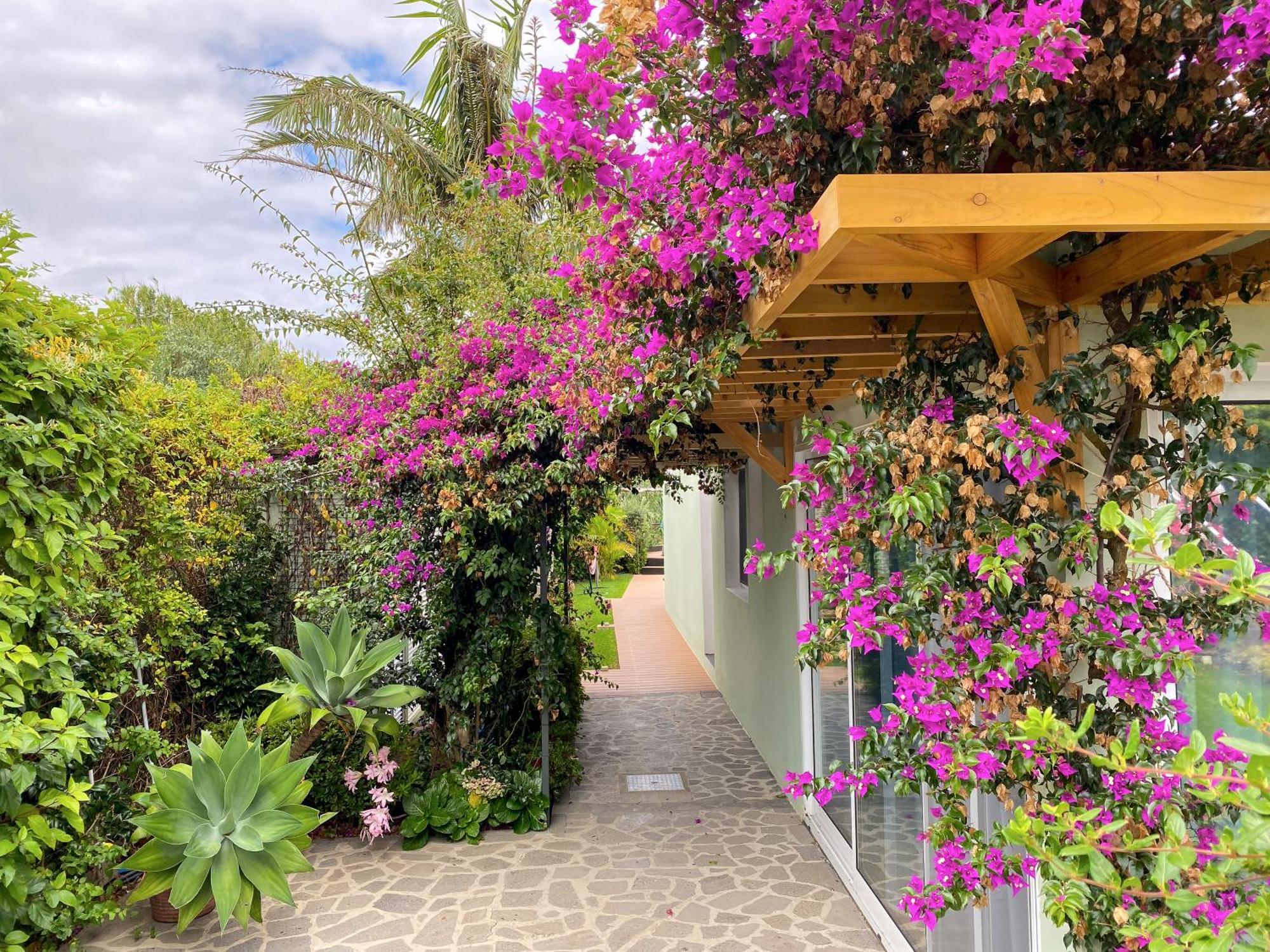 Terra Vivaz - Ribeira Cottage Ribeira Grande Eksteriør bilde